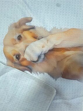 Blank Brand Golden‎ Dog Print Pet Blanket - Cream